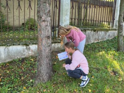Zdjęcie 3 z 20 – OKREŚLAMY KIERUNKI GEOGRAFICZNE – ĆWICZENIA TERENOWE