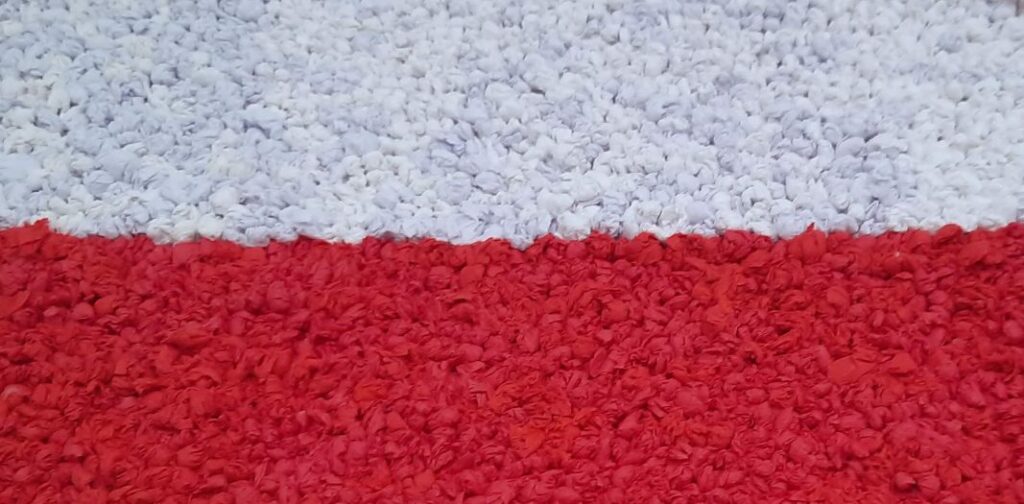 Zdjęcie 5 z 8 – Szkolny Konkurs Plastyczny – wyniki