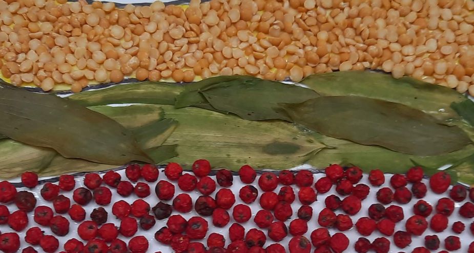 Zdjęcie 2 z 8 – Szkolny Konkurs Plastyczny – wyniki