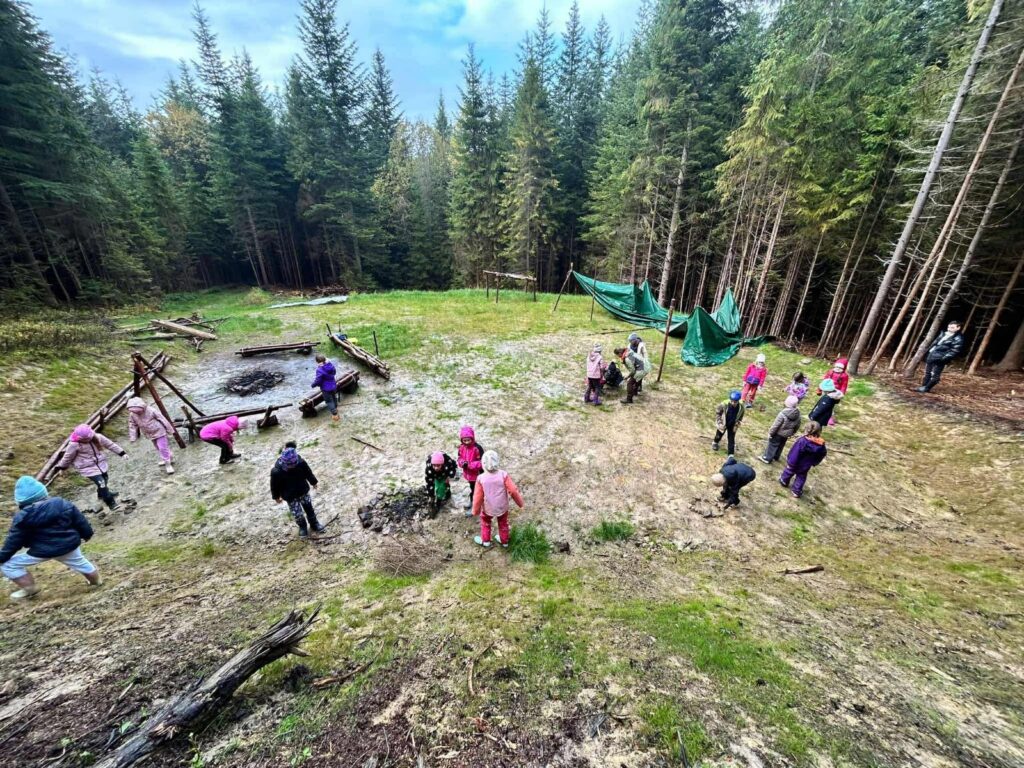 Zdjęcie 17 z 46 – Witaj jesienny lesie- lekcja przyrodnicza klasy I c w lesie