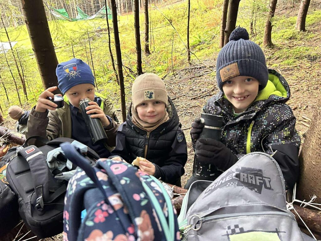 Zdjęcie 19 z 46 – Witaj jesienny lesie- lekcja przyrodnicza klasy I c w lesie