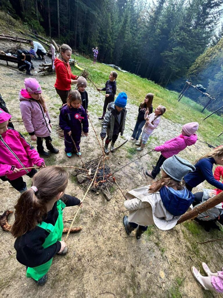 Zdjęcie 23 z 46 – Witaj jesienny lesie- lekcja przyrodnicza klasy I c w lesie