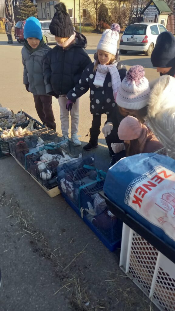 Zdjęcie 11 z 36 – Z wizytą na targu – klasa I c poznaje zapomniane zaułki Nowego Targu :)