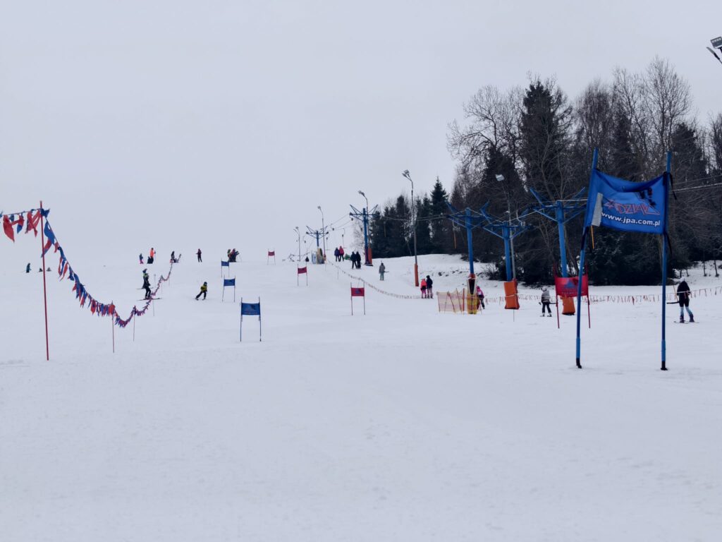 Zdjęcie 8 z 36 – ZIMOWY DZIEŃ SPORTU – MISTRZOSTWA SZKOŁY PODSTAWOWEJ NR 1 W NARCIARSTWIE ALPEJSKIM