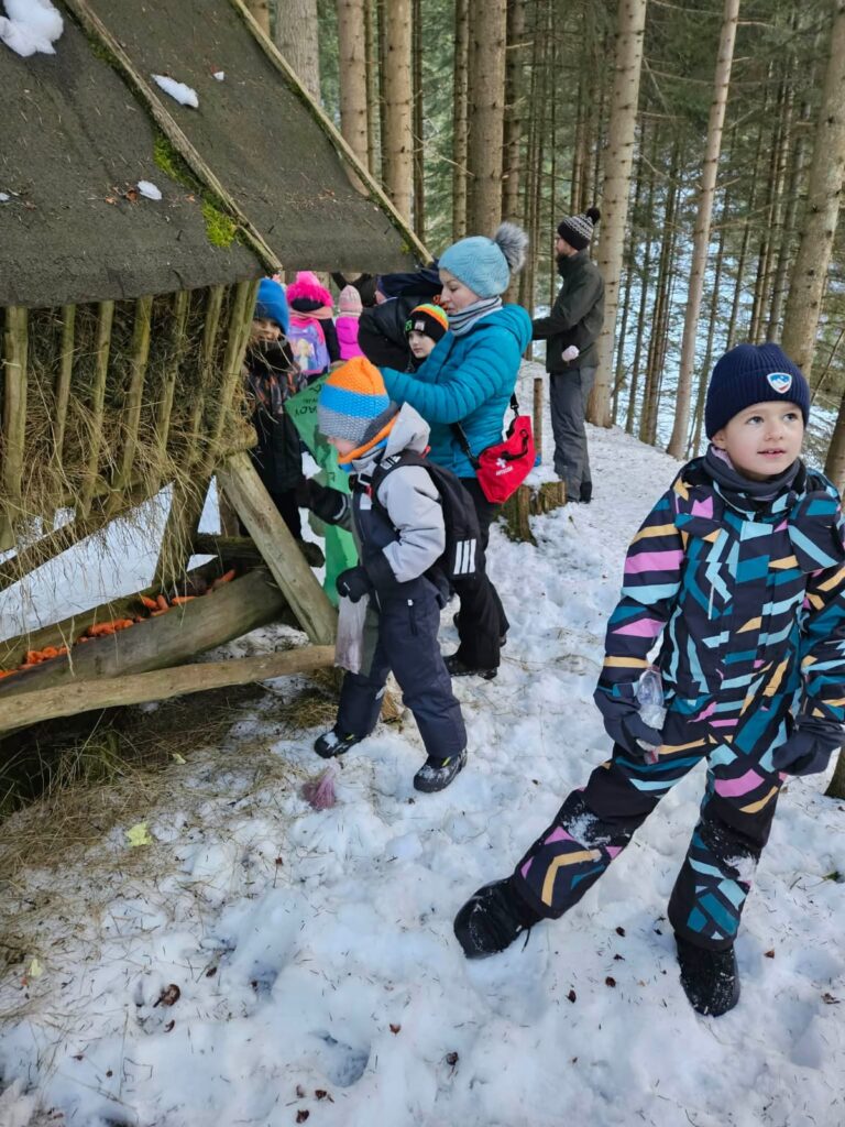 Zdjęcie 1 z 45 – Zimowe odwiedziny w lesie!