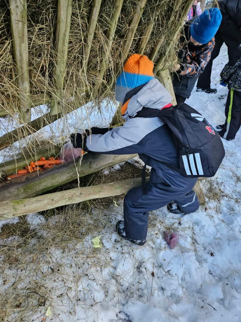 Zdjęcie 2 z 45 – Zimowe odwiedziny w lesie!