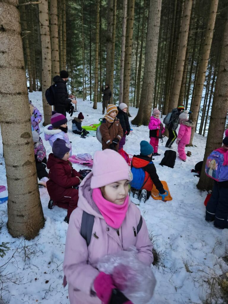 Zdjęcie 3 z 45 – Zimowe odwiedziny w lesie!
