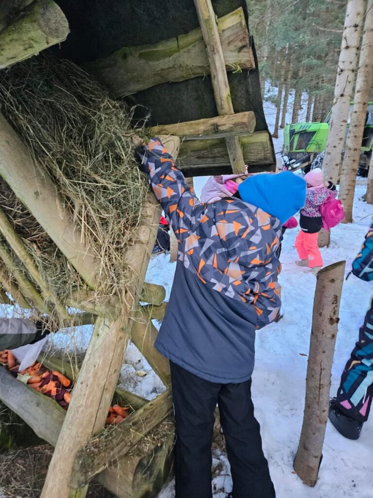 Zdjęcie 9 z 45 – Zimowe odwiedziny w lesie!
