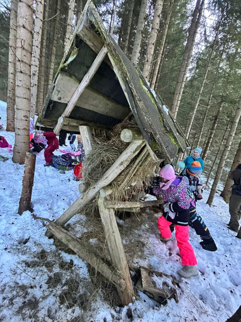 Zdjęcie 13 z 45 – Zimowe odwiedziny w lesie!