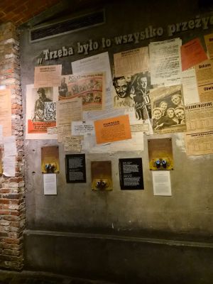 Zdjęcie 99 z 174 – Wycieczka klasy 5a i 5b do Warszawy